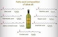 Fatty acid composition of olive oil. Structural chemical formulas Royalty Free Stock Photo