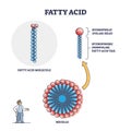 Fatty acid molecule with micelle and side view structure outline diagram