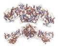 Fatty acid synthase (FAS) enzyme. Responsible for the synthesis of fatty acids Royalty Free Stock Photo