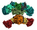 Fatty acid synthase (FAS) enzyme. Responsible for the synthesis of fatty acids Royalty Free Stock Photo