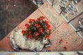 Fatty and funny cat is sleeping on the ground and near a flowerpot