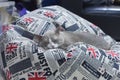 Fatty grey cat is sleeping on bag bean