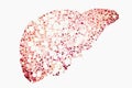 Fatty liver conceptual image Royalty Free Stock Photo