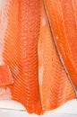 Fatty salmon fillets fresh at market