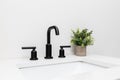 A black faucet and sink detail.