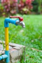 Faucet with red handles in the garden Royalty Free Stock Photo