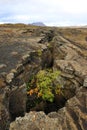 The fault that marks the continental separation in plate tectonics between Europe and America, above Grjotagja cave, Iceland.