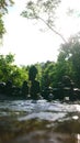 Fauna the balancing stone near river