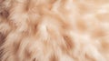 faux fur background Royalty Free Stock Photo