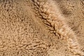 Faux fur texture closeup Royalty Free Stock Photo