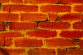 Faux painted brick wall Royalty Free Stock Photo