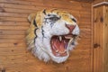 Faux Tiger Taxidermy Statue