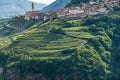 Faver village with green vineyards - Trentino Alto Adige Italy Royalty Free Stock Photo