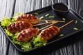 Favourite among the chicken yakitori skewers family, these Japanese tsukune mince meat skewers are packed full of flavour close-up Royalty Free Stock Photo