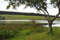 Late afternoon at the headwaters of a peaceful country dam. Royalty Free Stock Photo