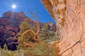 Fay Canyon Trail End Sedona AZ Royalty Free Stock Photo