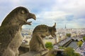 Faymous gargoyles of Notre Dame over Paris Royalty Free Stock Photo