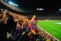 FC Barcelona football match - stands scenery with flags