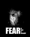 Fear is just a thought - inspirational photograph - fear motivational photo - don`t be afraid - be brave