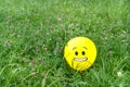 Feared emoji face on a yellow balloon laying on the green grass Royalty Free Stock Photo