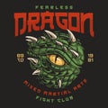 Fearless fighting dragon colorful poster