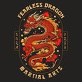 Fearless fighting dragon flyer colorful