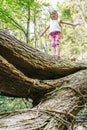 Fearless little girl scout standing on a fallen log in the woods Royalty Free Stock Photo