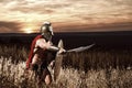 Fearless young Spartan warrior posing in the field Royalty Free Stock Photo