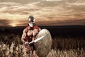 Fearless young Spartan warrior posing in the field Royalty Free Stock Photo