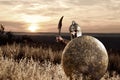 Fearless young Spartan warrior posing in the field Royalty Free Stock Photo