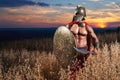 Fearless young Spartan warrior posing in the field Royalty Free Stock Photo