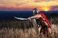 Fearless young Spartan warrior posing in the field Royalty Free Stock Photo