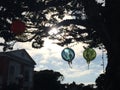 Feast of Lanterns in a California small town