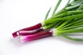 Featers of young red juicy onion on a white background. Royalty Free Stock Photo