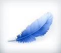 Feather