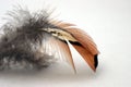 Feather