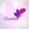 Feather Abstract Background