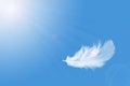 Feather abstract freedom concept background. Lightly and soft fluffy white feather floating in a blue sky.Feather flying.