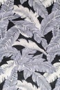 Feather background