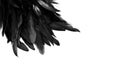 Feather Background