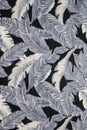 Feather background