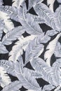 Feather background Royalty Free Stock Photo