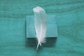 Feather is beautiful and light on a turquoise wooden background Royalty Free Stock Photo