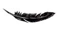 Feather of bird drawn in ink pen.