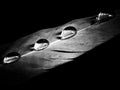 Feather of a bird in droplets on black and white Royalty Free Stock Photo