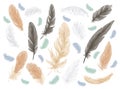 Feather bird isolated vector set.