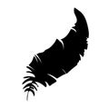 Feather of birds. Black feather silhouette for logo vector set Royalty Free Stock Photo
