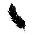 Feather of birds. Black feather silhouette for logo vector set Royalty Free Stock Photo