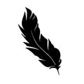 Feather of birds. Black feather silhouette for logo vector set Royalty Free Stock Photo