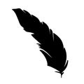 Feather of birds. Black feather silhouette for logo vector set Royalty Free Stock Photo